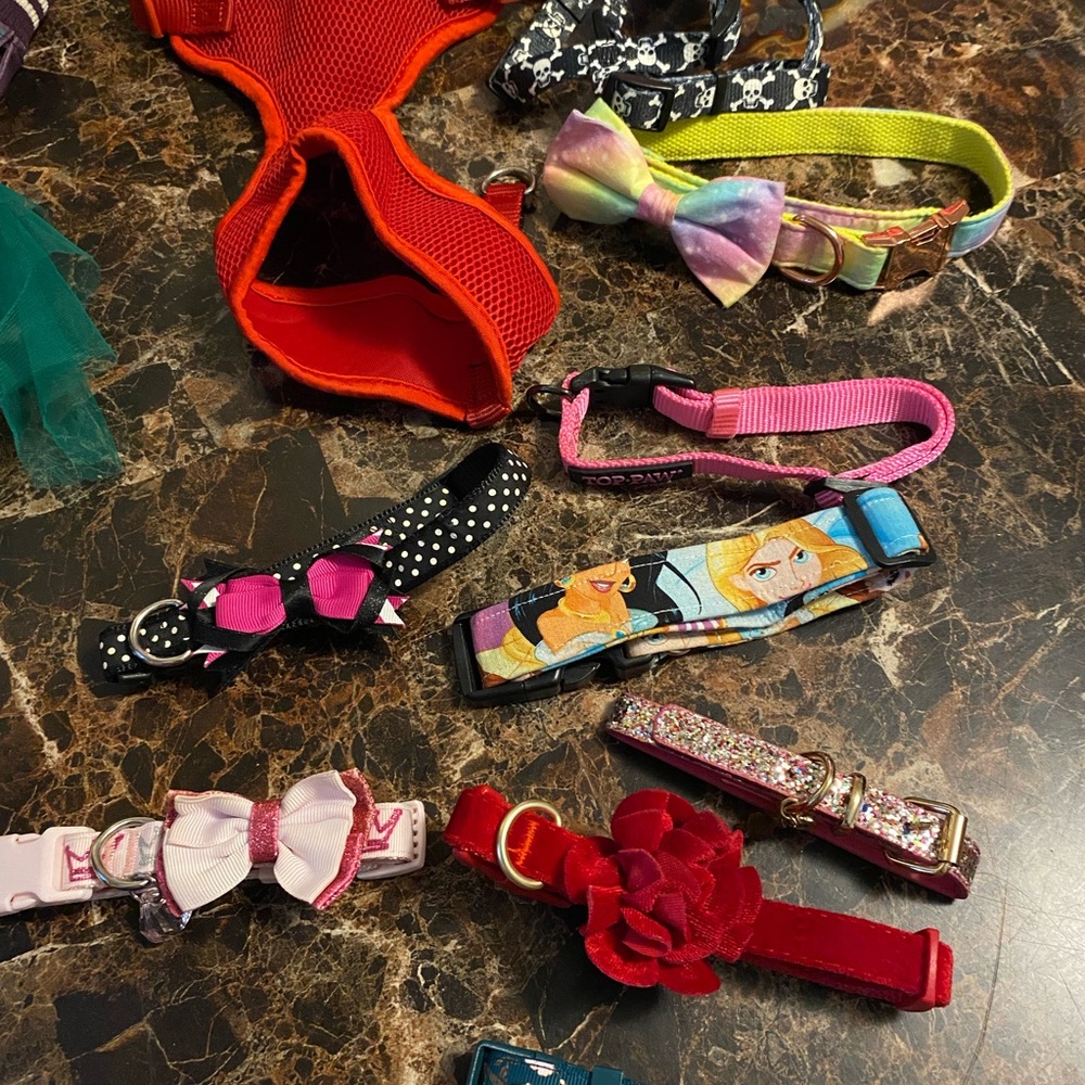 Pet Collars with Bows & Dog Clothes